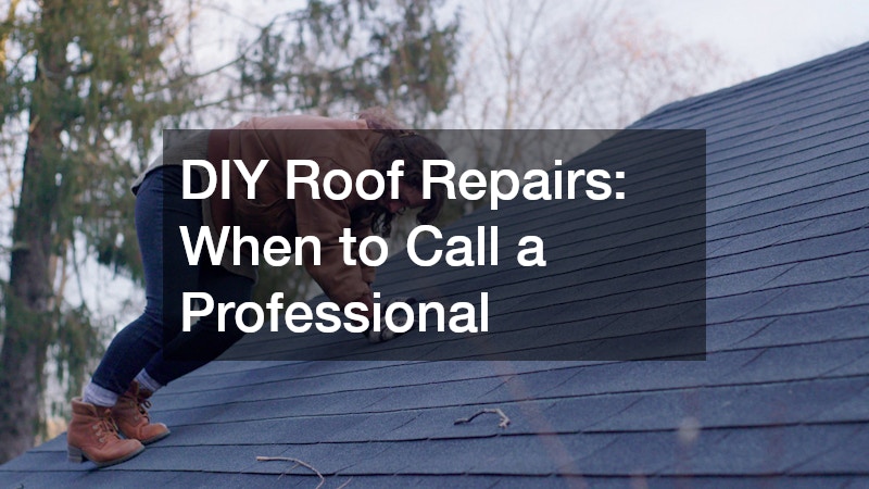 DIY Roof Repairs  When to Call a Professional